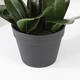 Kunstplant Mica Phalaenopsis orchideeën wit in plastic pot 79x51cm