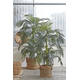 Kunstplant Mica Areca palm in plastic pot 150x100cm