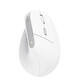Muis Trust ergonomisch BAYO II draadloos wit