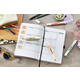 Markeerstift STABILO Swing cool nature colors assorti 6 stuks