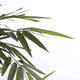 Kunstplant Mica Bamboe in plastic pot 150x75cm