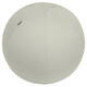 Actieve zitbal Leitz Ergo 65cm anti-rol lichtgrijs