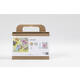 Mini Hobbyset Creativ Company boetseren steen met insect