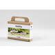 Mini Hobbyset Creativ Company boetseren steen met insect