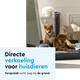 Torenventilator BRASQ F500 H79cm zwart