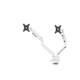 Monitorarm Neomounts NEXT Slim dual 17-32" wit