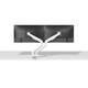 Monitorarm Neomounts NEXT Slim dual 17-32" wit