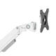Monitorarm Neomounts NEXT Slim dual 17-32" wit