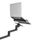Monitorarm met laptophouder Neomounts NEXT Lite single 17-27" zwart