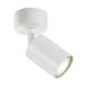 Plafondspot Integral Siena 1 spot IP20 GU10 wit