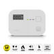 Koolmonoxidemelder Alecto 10 jaar sensor en display COA3910 wit