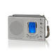 Wereldradio Nedis met wekker RDWR1000GY