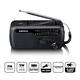 Noodradio Lenco MCR-113BK