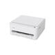 Multifunctional inktjet printer Canon PIXMA TS4150i