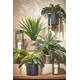 Kunstplant Mica Boston varen groen in pot Ø50cm 42cm