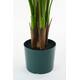 Kunstplant Mica Areca palm in pot groen waterproof