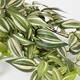 Kunstplant Mica Tradescantia hangend groen Ø25 45cm