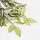 Kunstplant Mica Tradescantia hangend groen Ø25 45cm