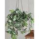 Kunstplant Mica Tradescantia hangend groen Ø25 45cm