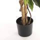 Kunstplant Mica Ficus groen in plastic pot Ø85 150cm