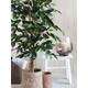 Kunstplant Mica Ficus groen in plastic pot Ø85 150cm