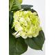 Kunstplant Mica Hortensia in pot groen Ø35 40cm