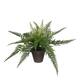 Kunstplant Mica varen groen in pot Stan grijs Ø50 38cm