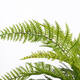 Kunstplant Mica varen groen in pot Stan grijs Ø50 38cm