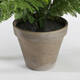 Kunstplant Mica varen groen in pot Stan grijs Ø50 38cm