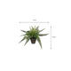Kunstplant Mica varen groen in pot Stan grijs Ø50 38cm