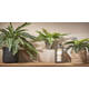 Kunstplant Mica varen groen in pot Stan grijs Ø50 38cm