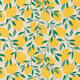 Apparaatrol Little Lemon 50cmx200m