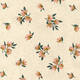 Inpakpapier Rotolux Rosie 200x70cm assorti
