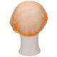 Haarnet CMT clip non-woven M 49cm PP oranje 100 stuks