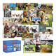 Beloningskaarten De Stulp dierenmix
