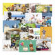 Beloningsposter-kaart De Stulp  thema dieren A4 assorti