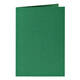 Correspondentiekaart Papicolor dubbel 105x148mm dennengroen pak à 6 stuks
