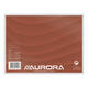 Systeemkaart Aurora 200x150mm lijn met rode koplijn 210gr wit 100 vel