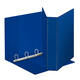 Presentatieringband Esselte panorama A4 4-rings D-mechaniek 30mm PP blauw