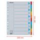 Tabbladen Esselte Standaard A4 10-delig karton 11-rings met voorblad assorti