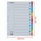 Tabbladen Esselte Standaard A4 12-delig karton 11-rings met voorblad assorti