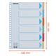Tabbladen Esselte Premium A4 6-delig karton 23-rings assorti