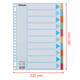Tabbladen Esselte Premium A4 10-delig karton 23-rings assorti