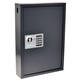 Sleutelkast Pavo High security 50 haken 550x380x100mm