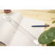Liniaal Westcott basic kunststof 30cm transparant