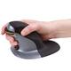 Ergonomische muis Fellowes Penguin draadloos medium