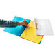 Sorteermap Secolor sixtab 6 tabbladen 100% gerecycled karton 250 gr blauw