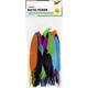 Indianen veren Folia assorti