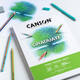 Tekenpapier Canson Graduate Drawing 30vel 160gr A4 helderwit