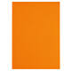 Kopieerpapier Papicolor A4 100gr 12 vel oranje